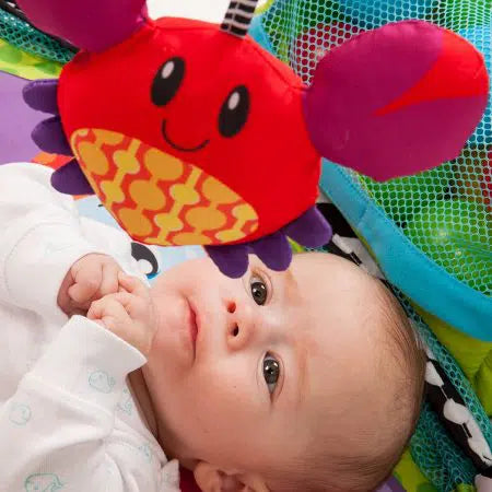 משטח פעילות עם בריכת כדורים – ™Animals & Smiles